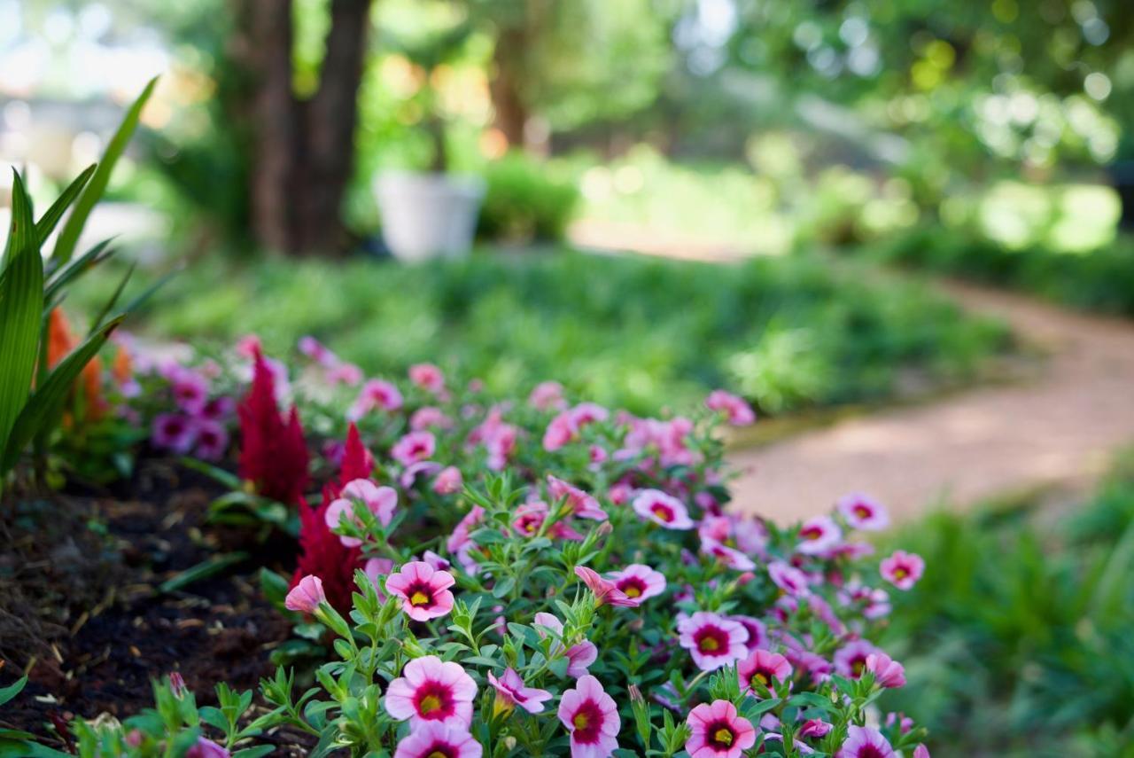 Dei Giardini